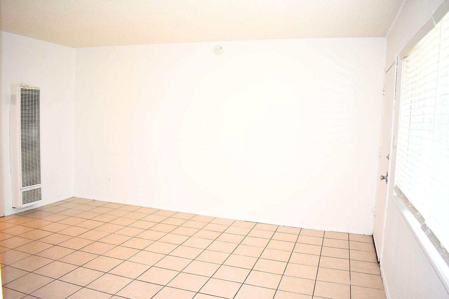 3 photo 5