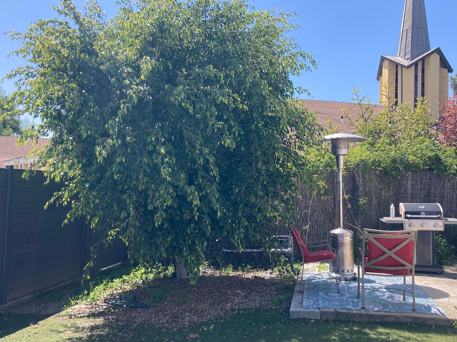 8215 Golden Ave photo 3
