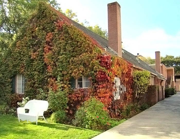 421 - 425B Forest Ave photo 3