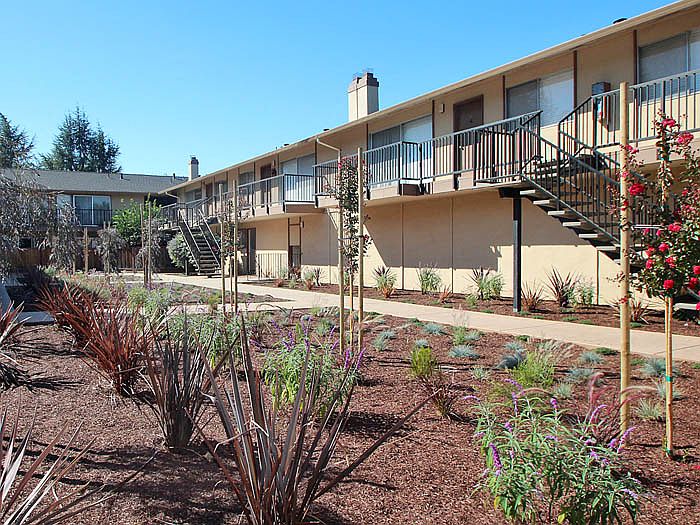 Cedars Apartments photo 5