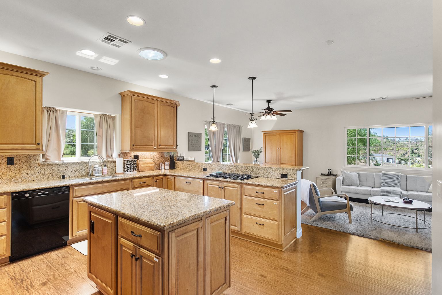 27474 Sycamore Mesa Rd photo 4