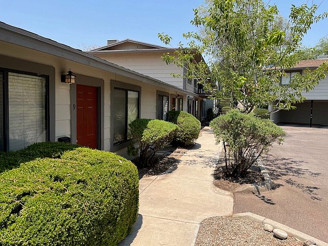 15 on Palm Apartments photo 5