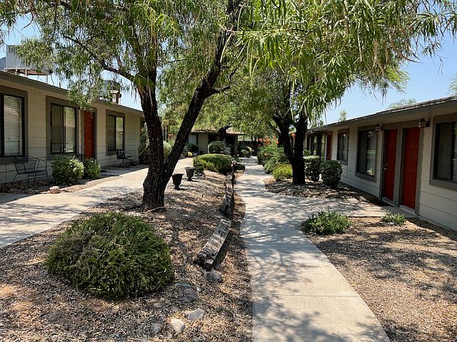 15 on Palm Apartments photo 2