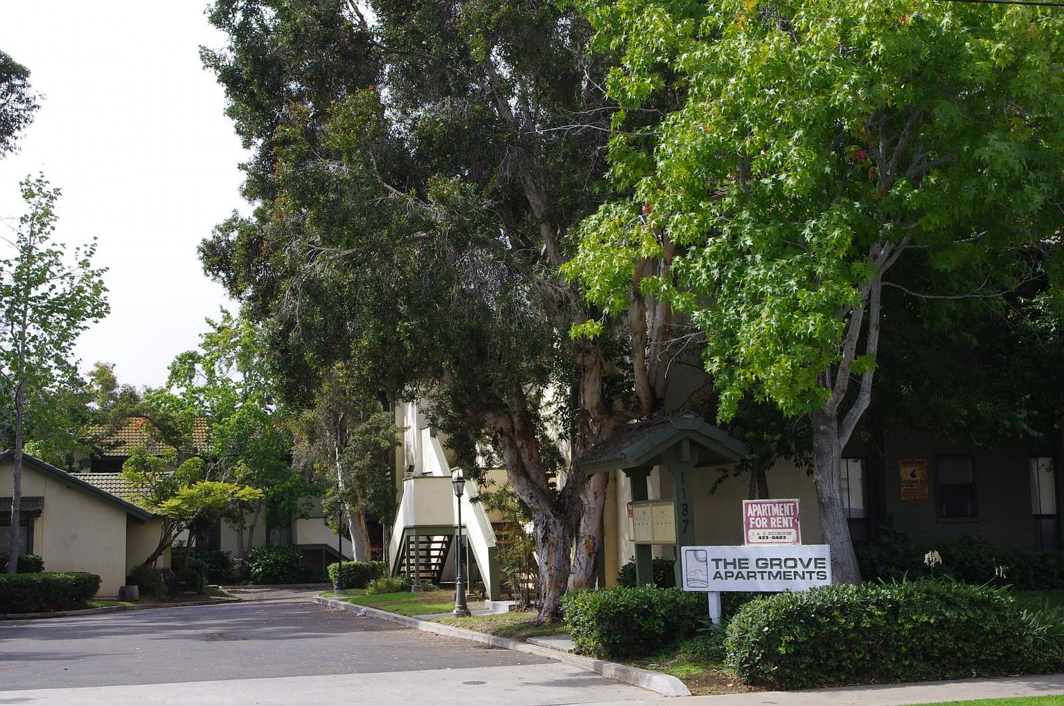 1187 Grove Ave photo 2