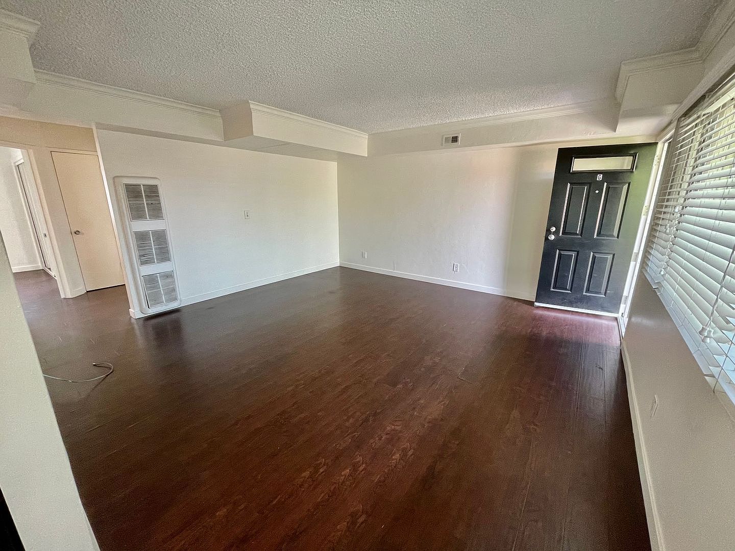 Spacious 2 Bed / 1 Bath Apartment In The Heart Of South Park! photo 4