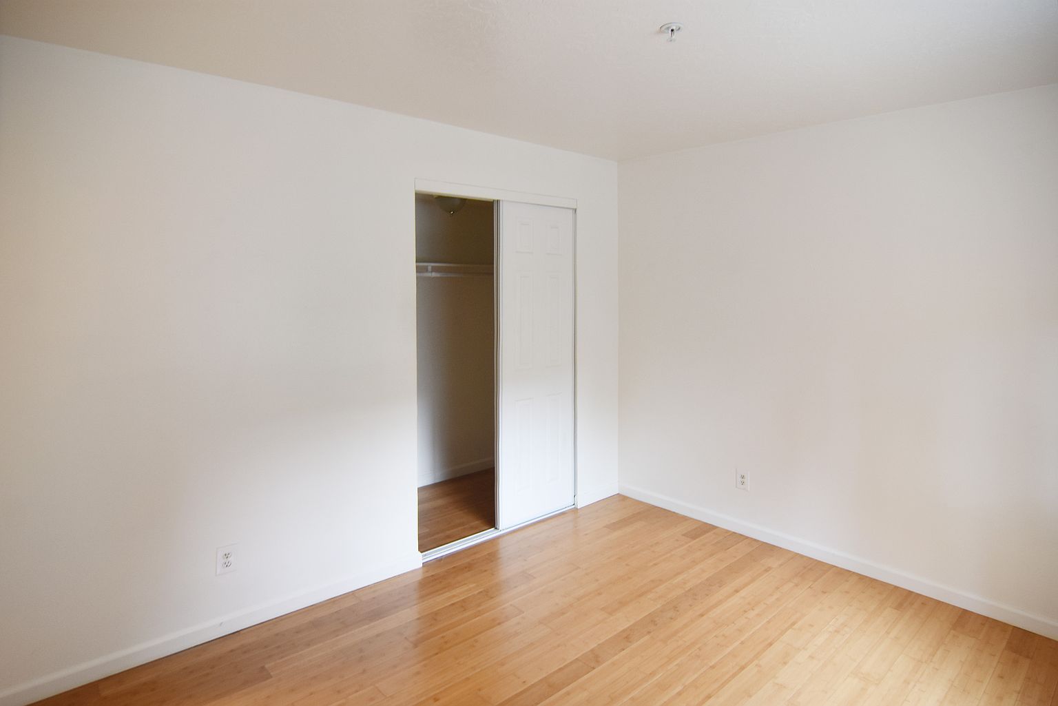 296 Mather St photo 3