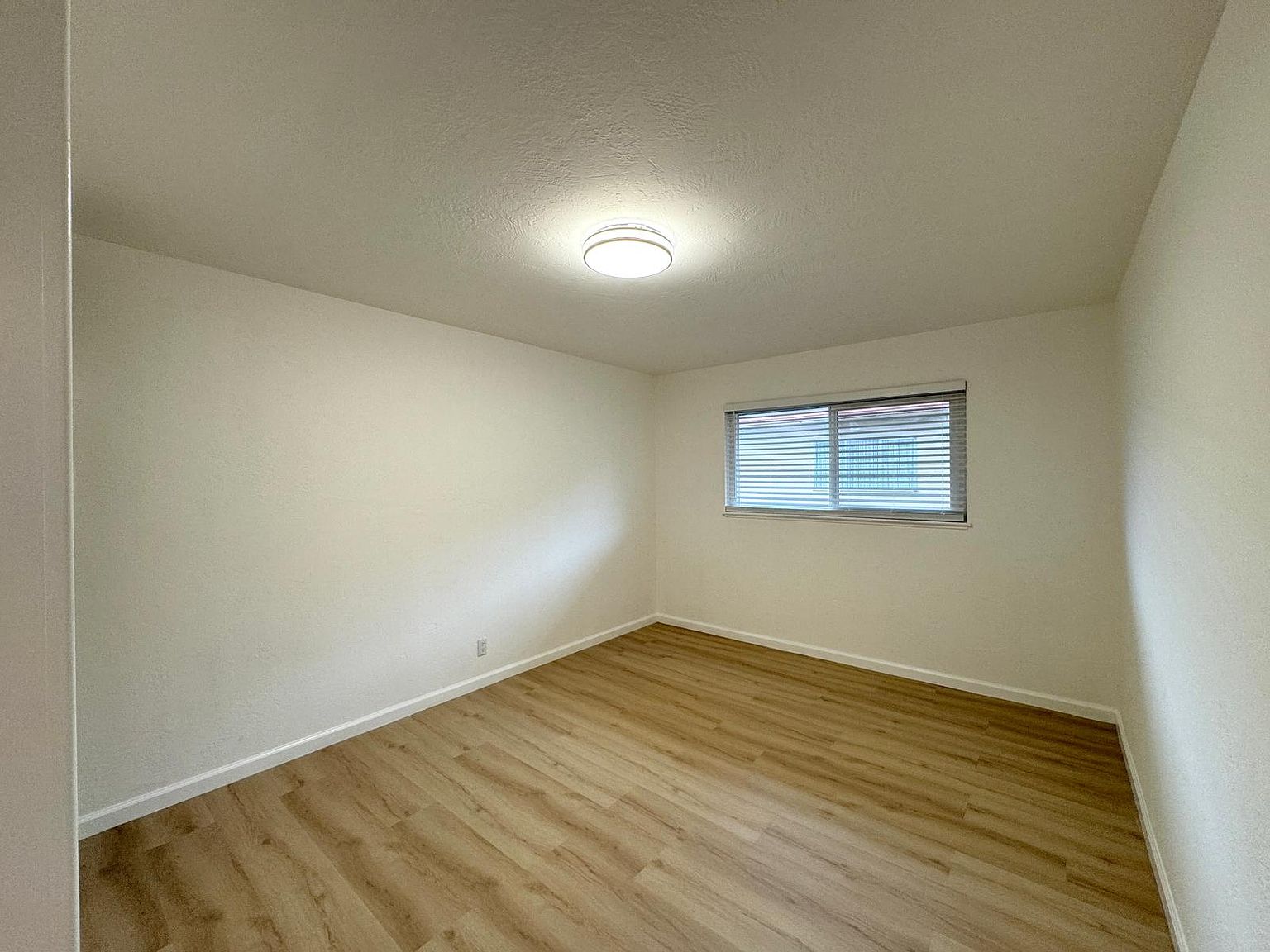 994 Karol Way photo 5