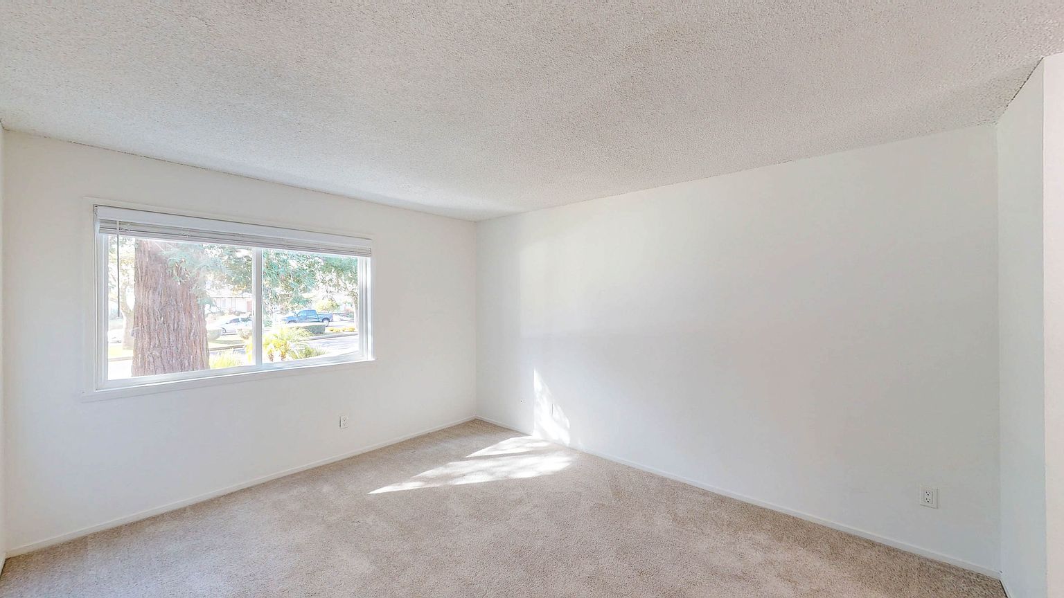410 Alameda Del Prado photo 5
