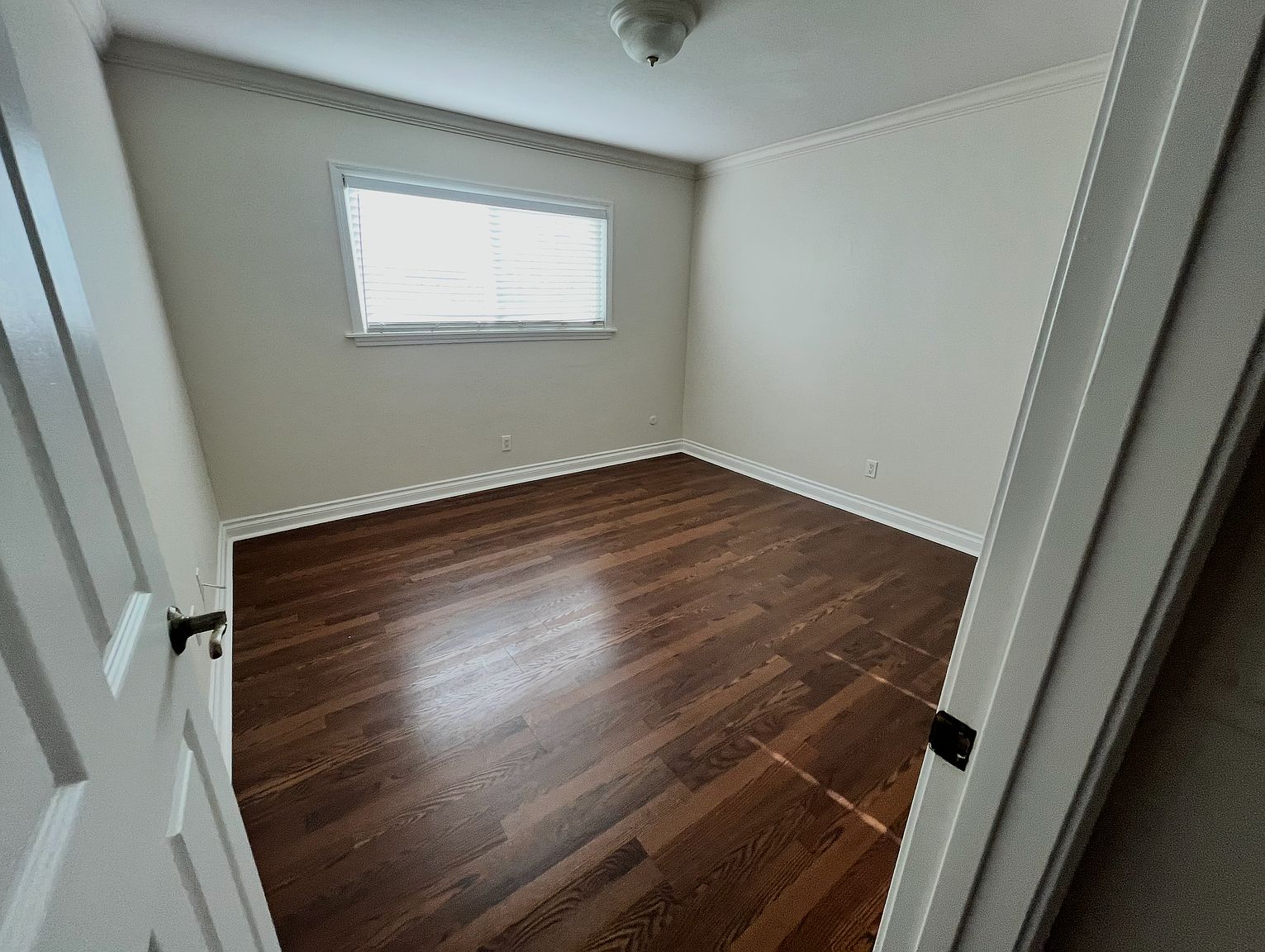 234 Daisy Ave photo 4