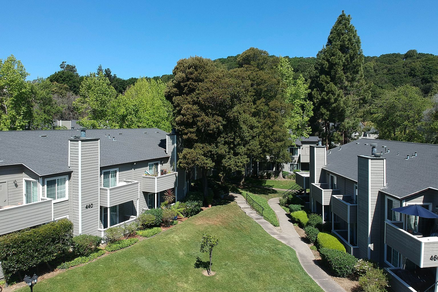 Apartments on Canyon Oaks Drive · Oakland photo 3