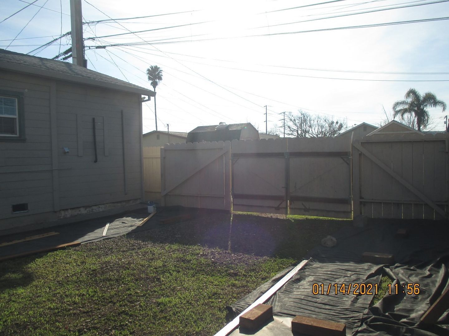 717 717.5 photo 3