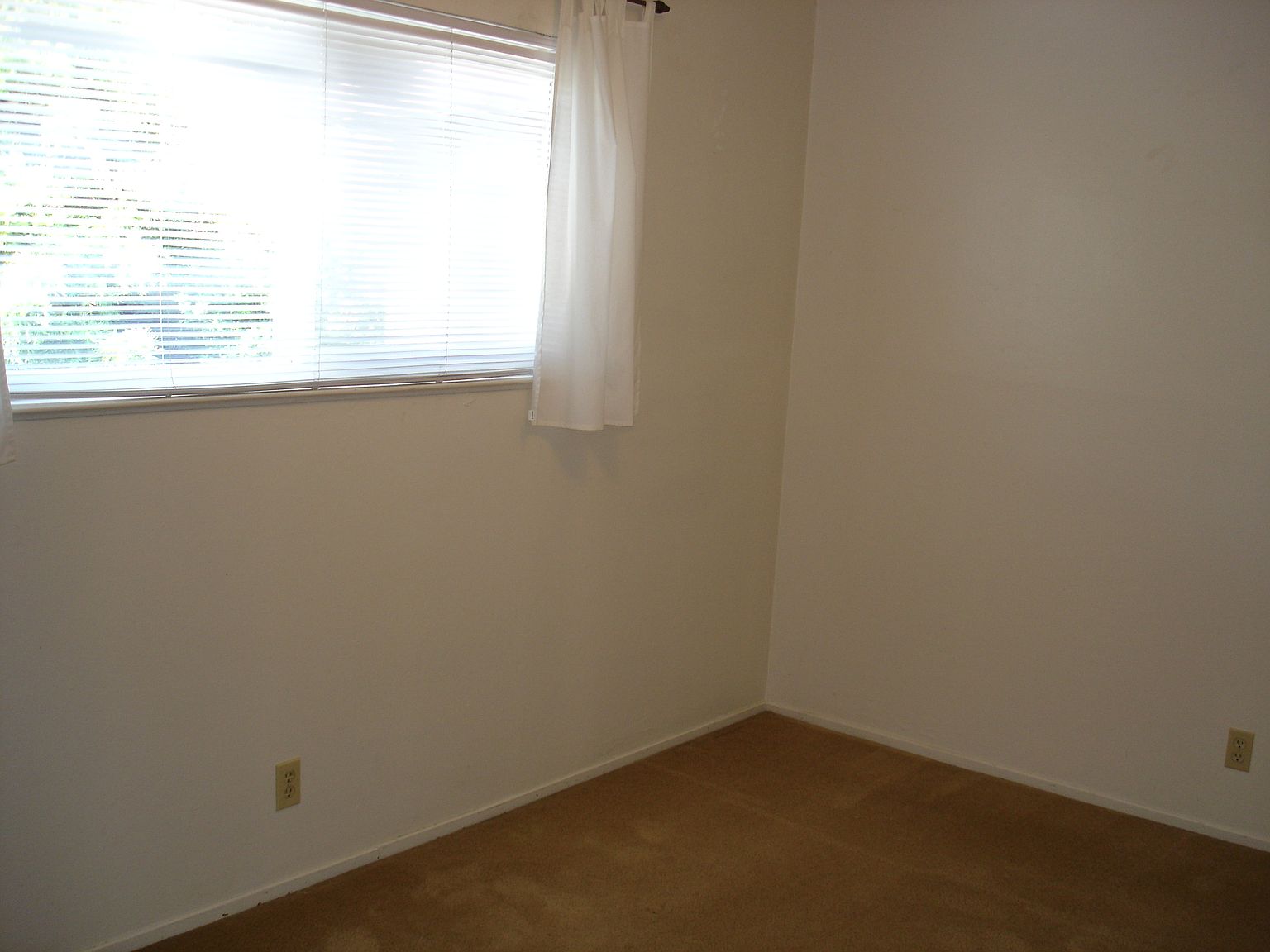 125 Ross St photo 5