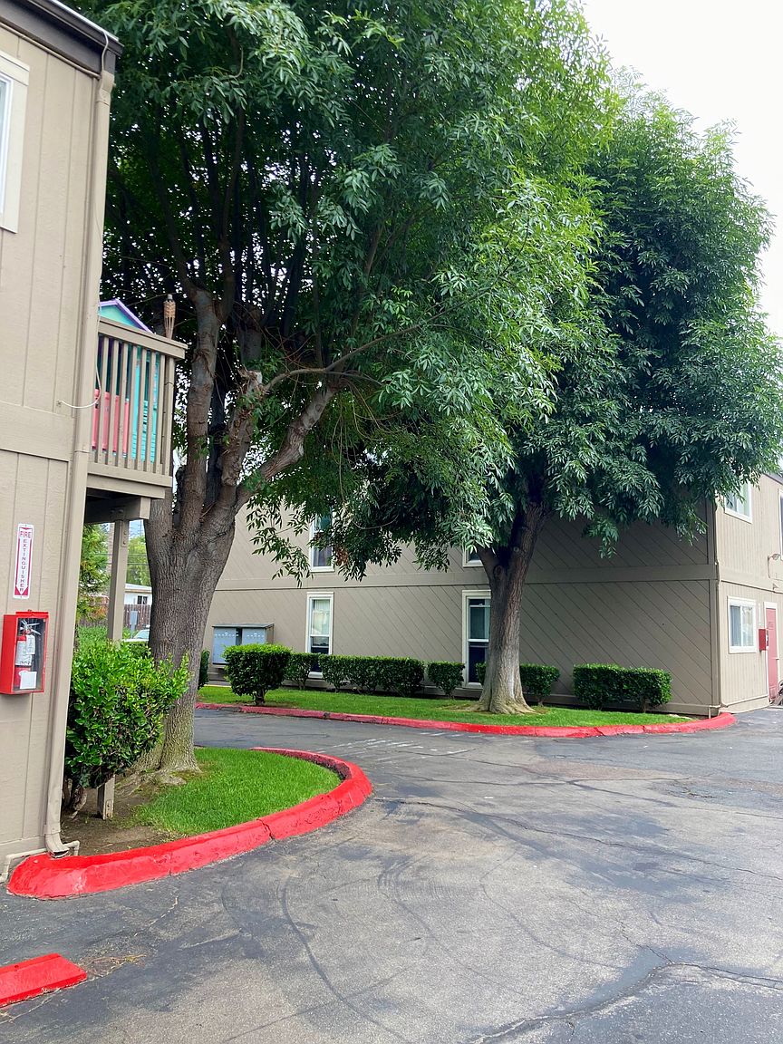 1 Bed 1 Bath photo 4