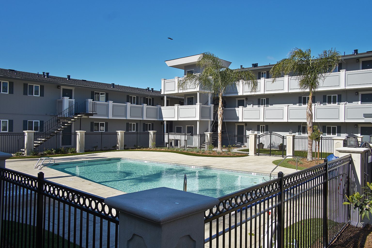Palmetto photo 2