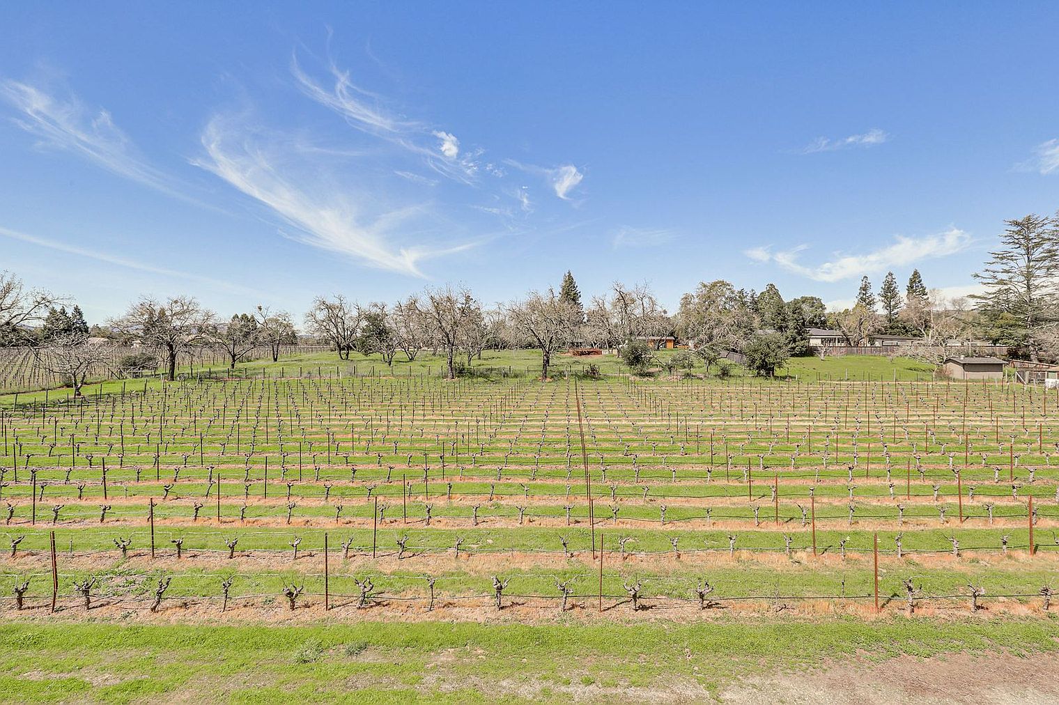 3177 Vichy Ave Napa, CA 94558 photo 4