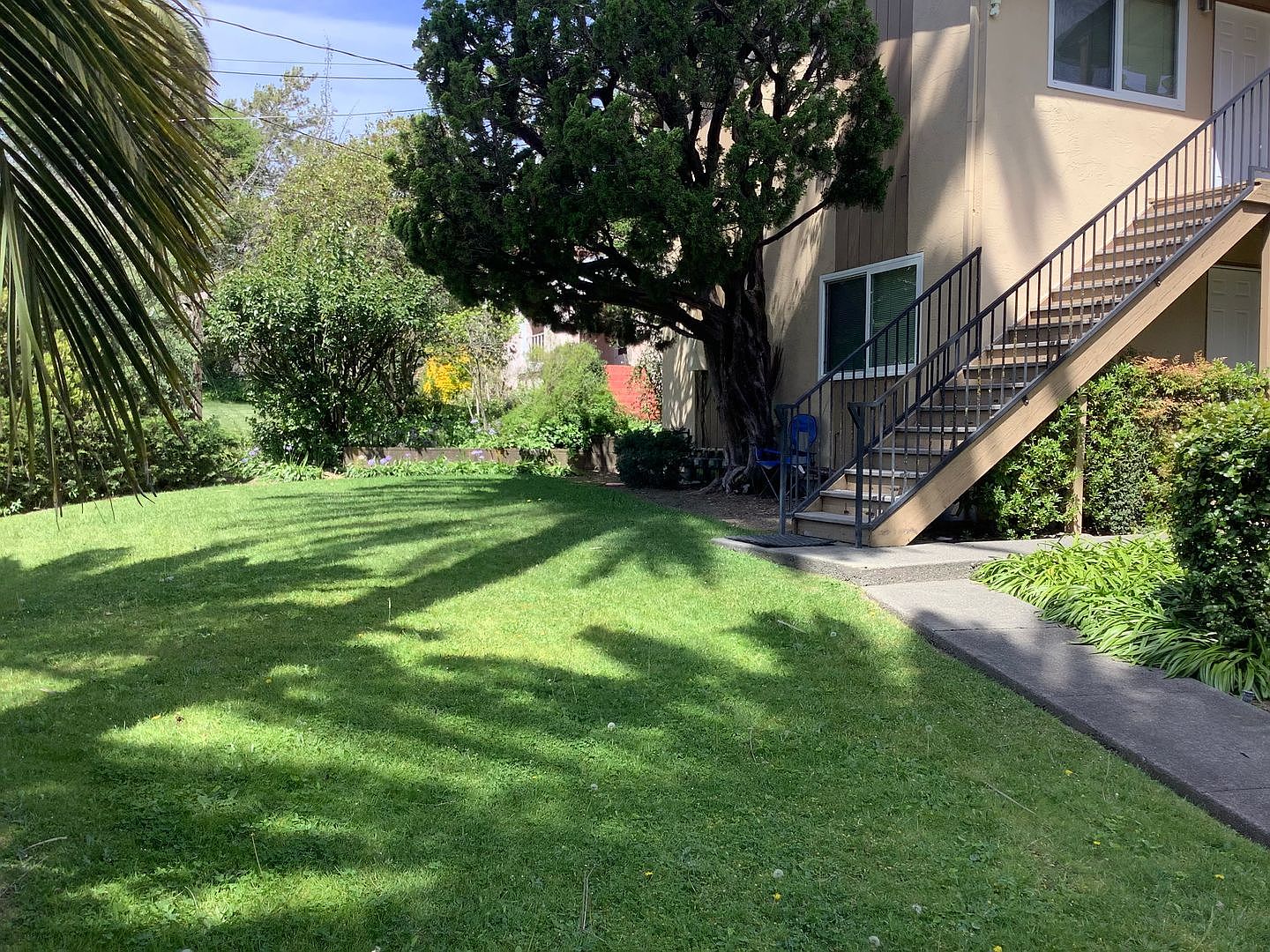 503 photo 2
