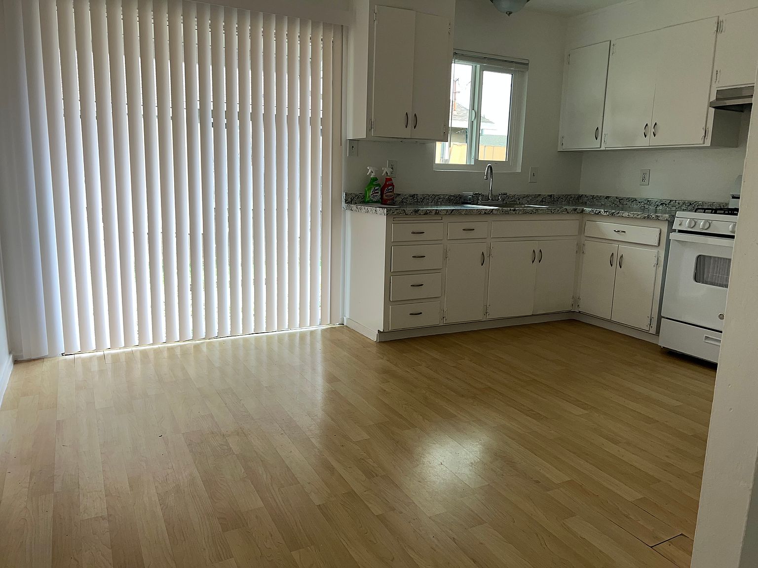 921 Aston Ave photo 3