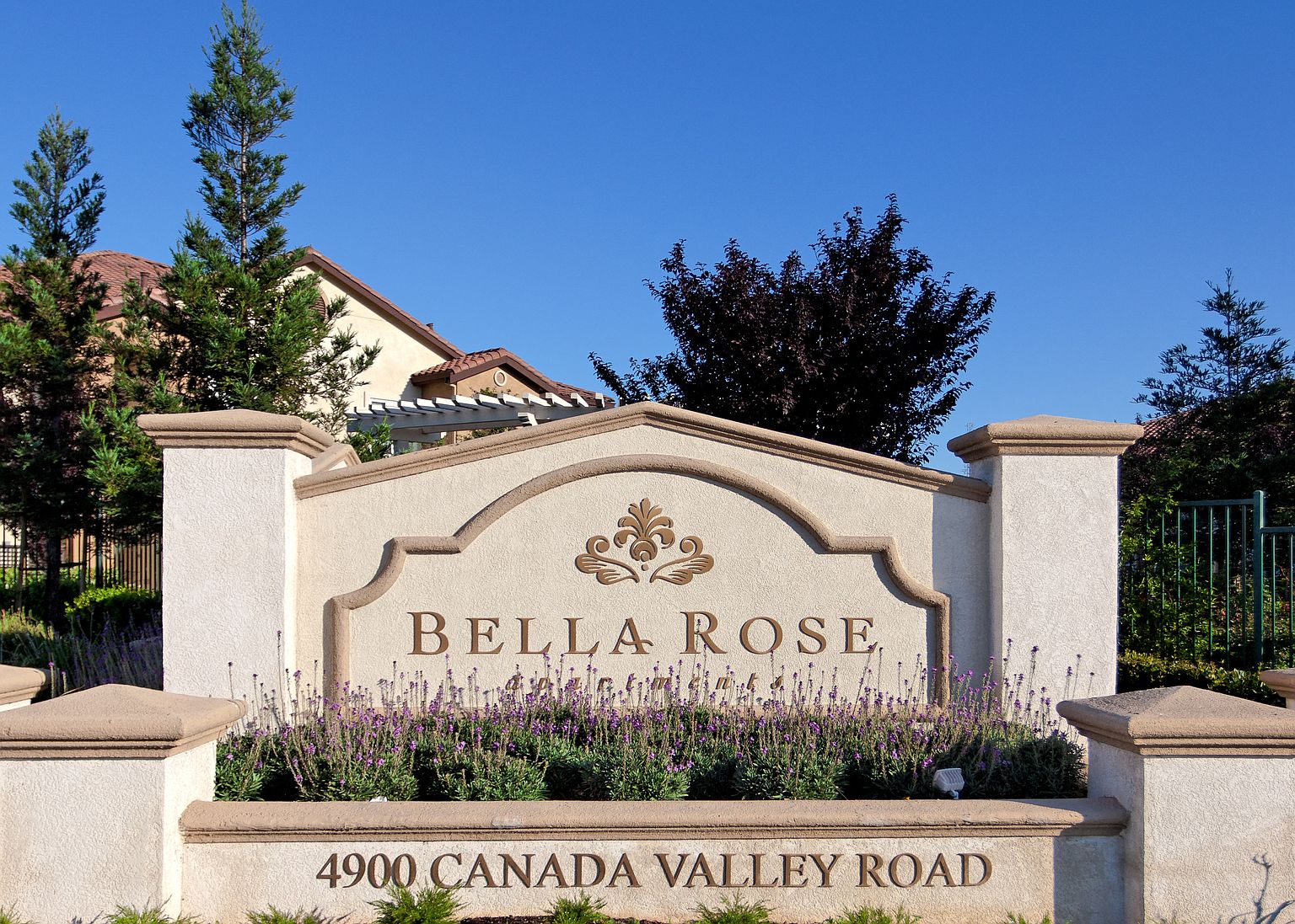 Bella Rose photo 4