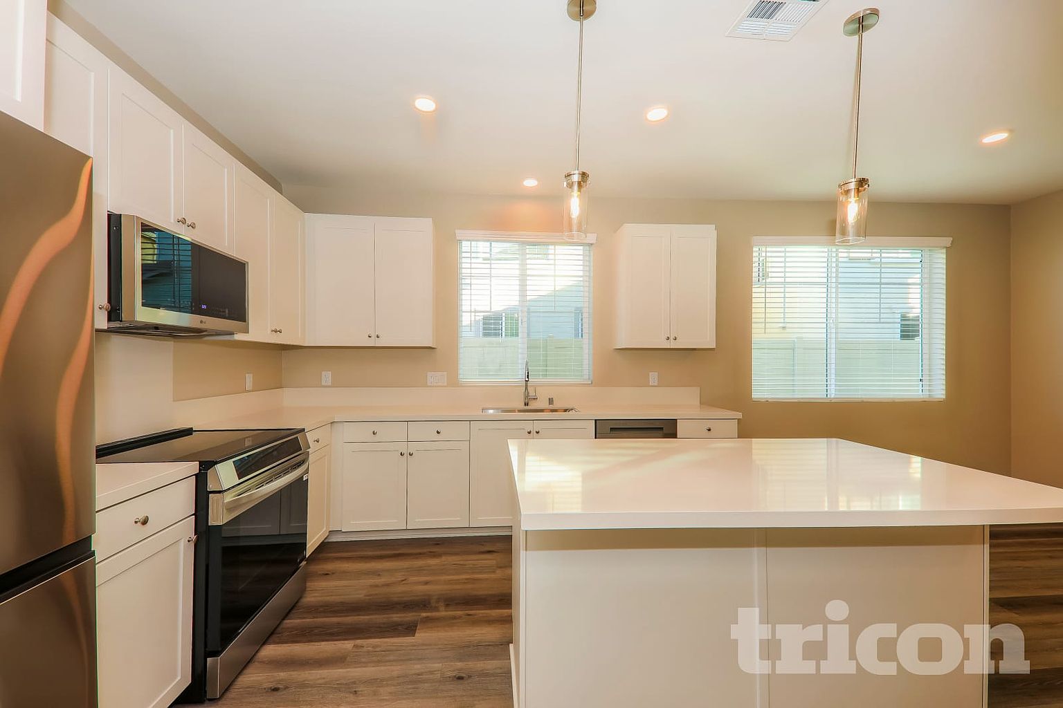 29431 Caribbean Pine Way photo 2