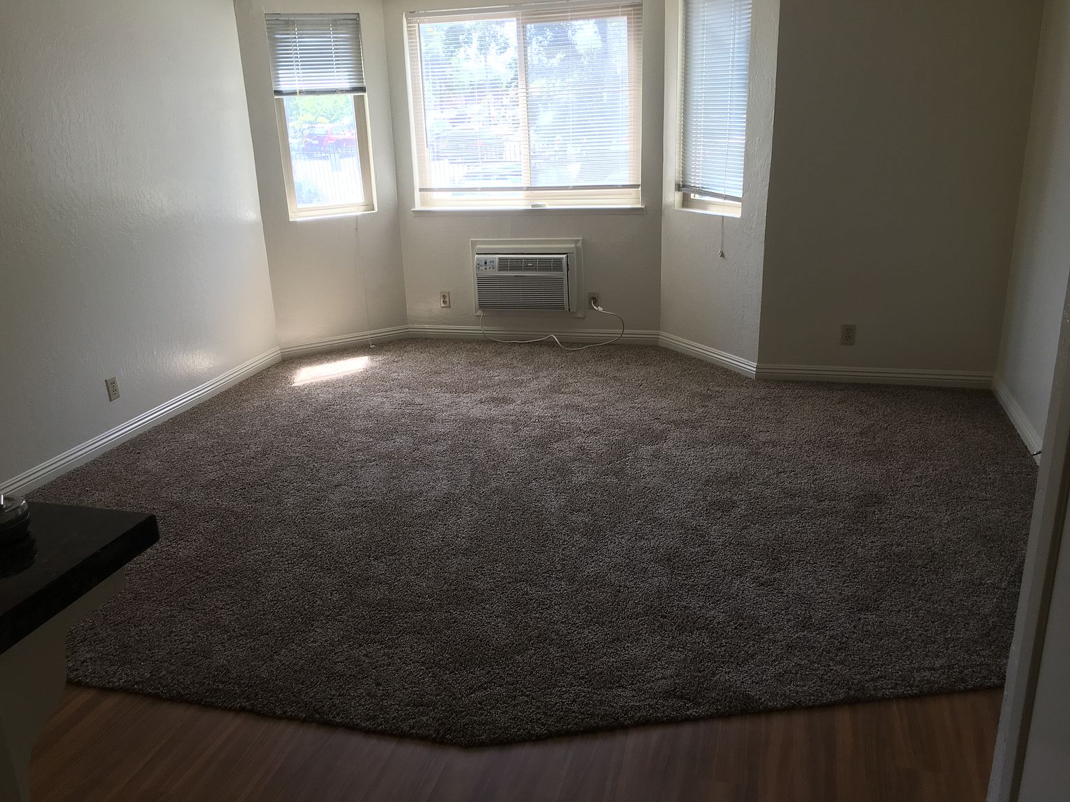 928 Black Diamond St photo 3