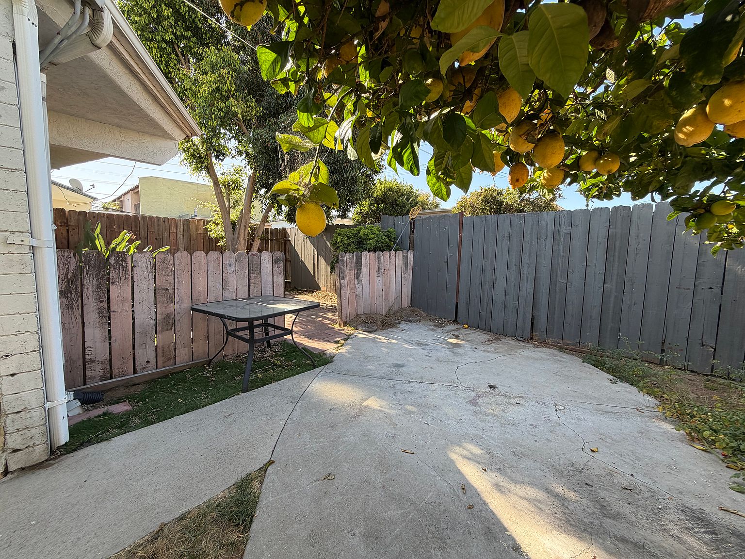 1080 E Madison Ave photo 3