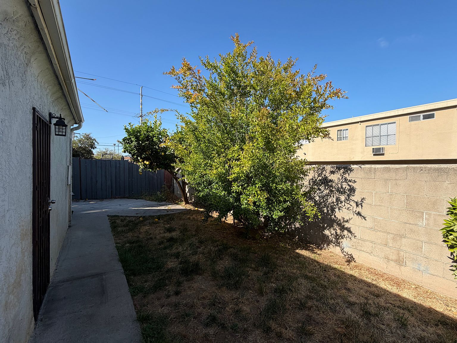 1080 E Madison Ave photo 5
