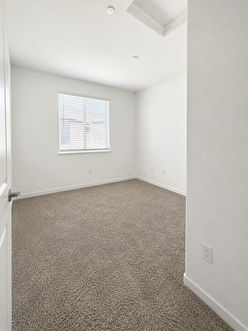 161 Sophia Ct photo 3
