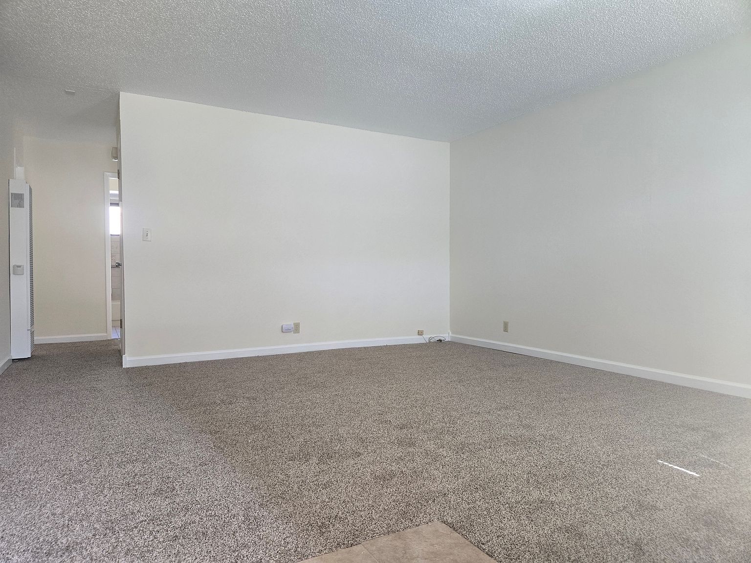 3031 Toyon St photo 4