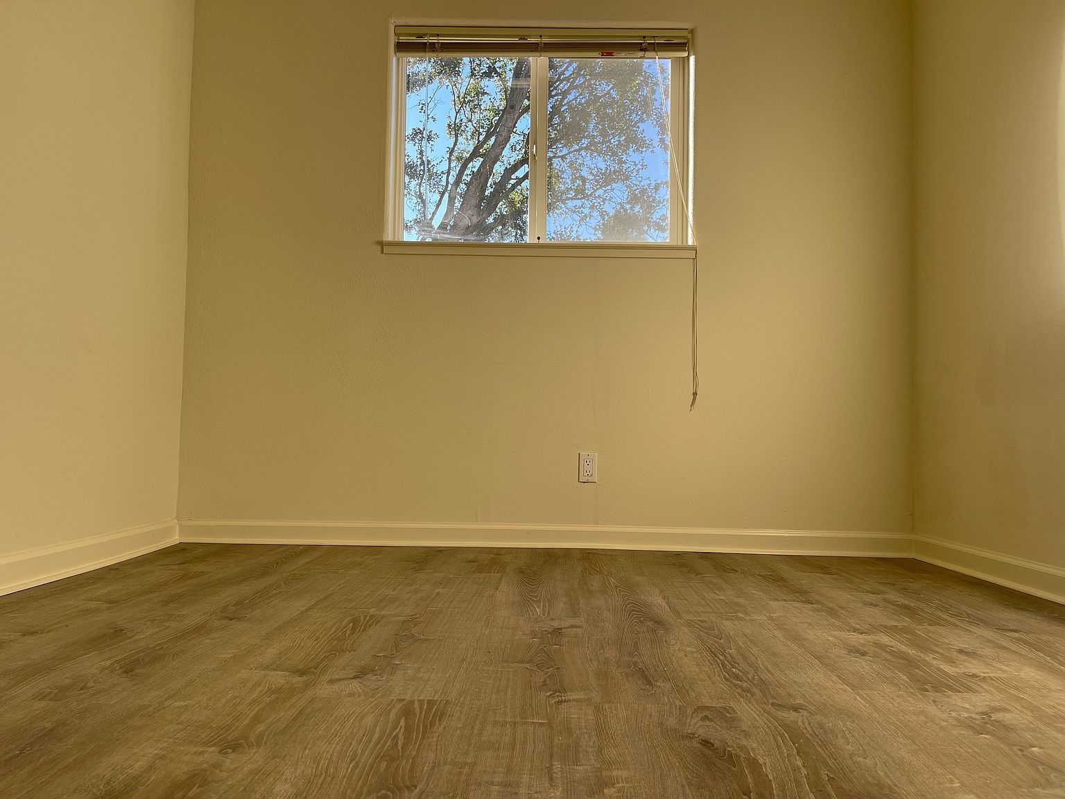 132 Lucille Way photo 3