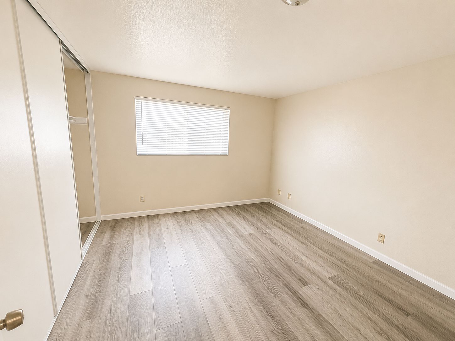 1501 Lavetta Way photo 5