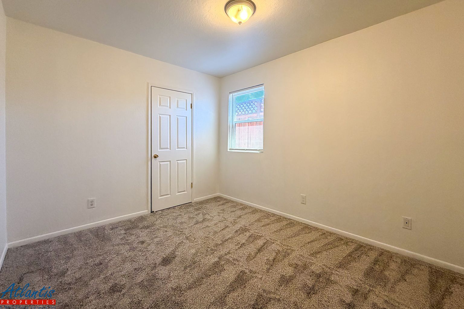 321 Leland Ave photo 4