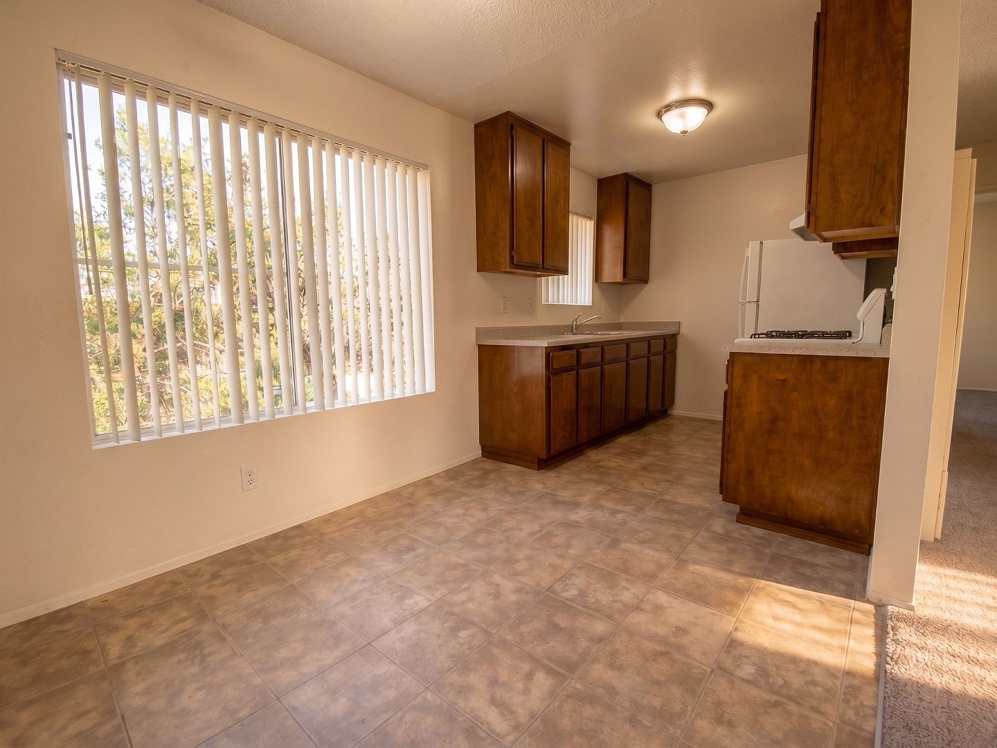 1028 S Magnolia Ave photo 4