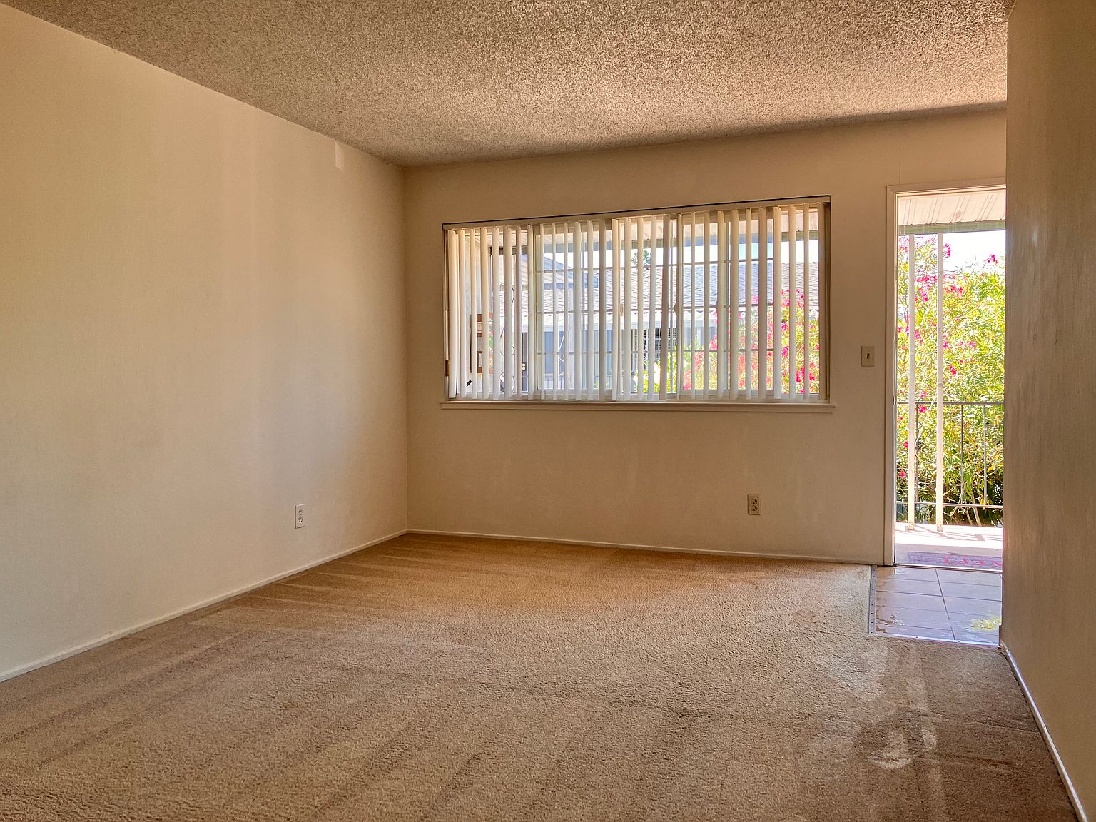 626 Pinewood Dr photo 3