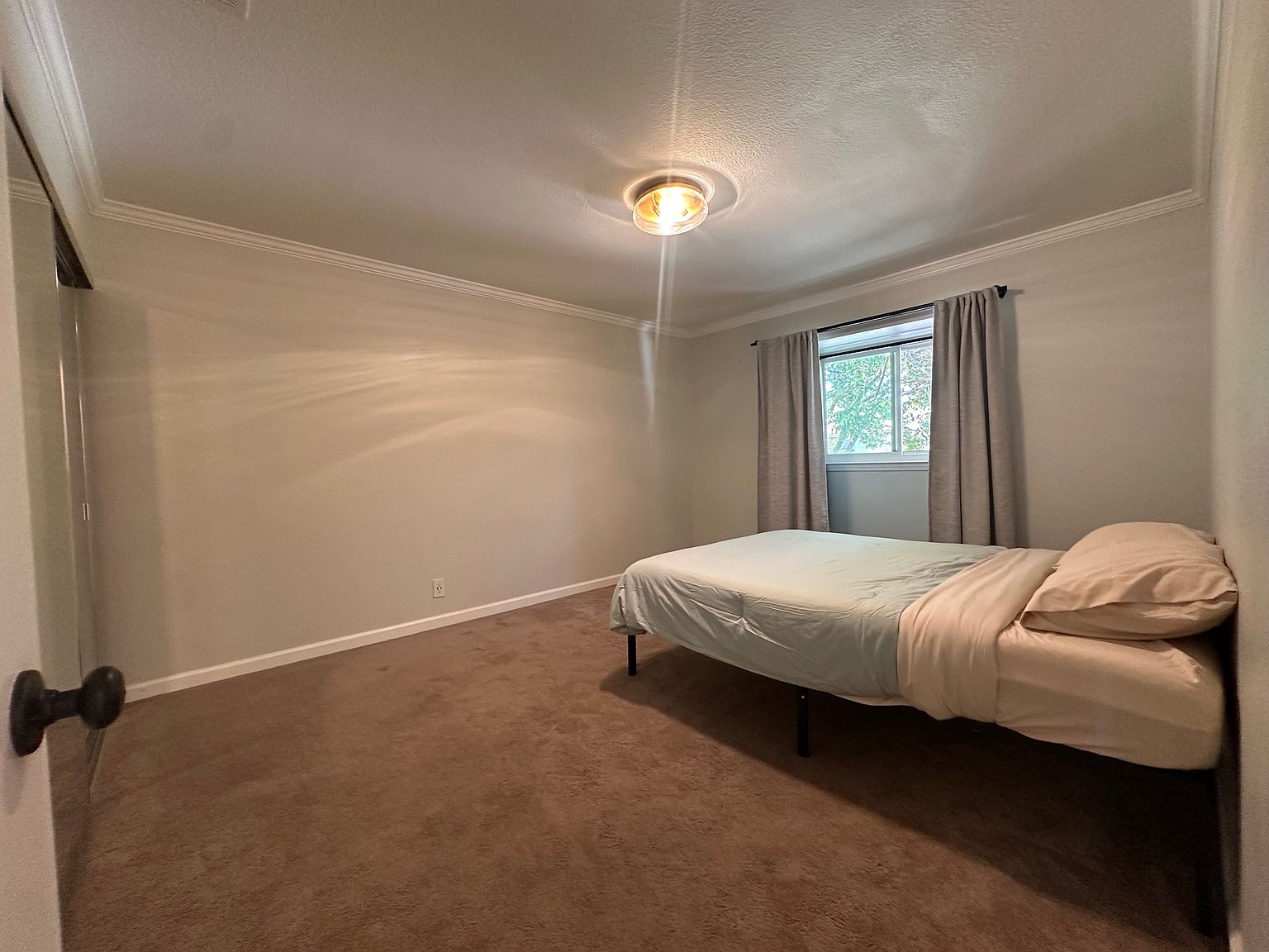 1394 Palm St photo 5