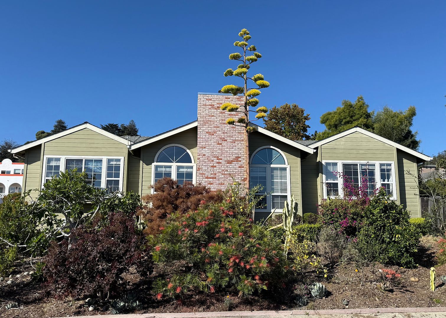 7146 Danko Dr photo 3