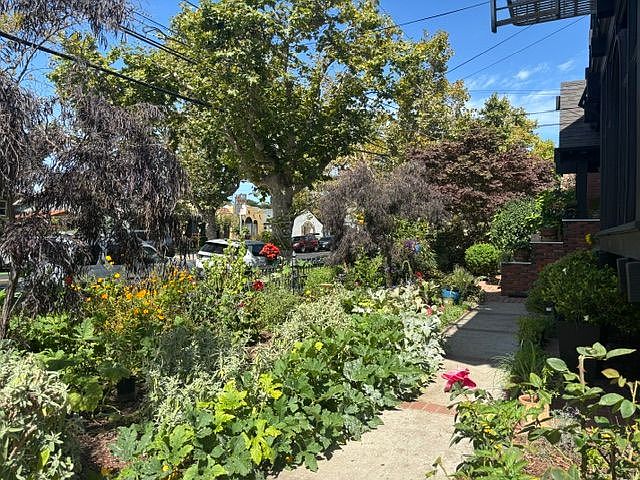 1401 High St photo 3