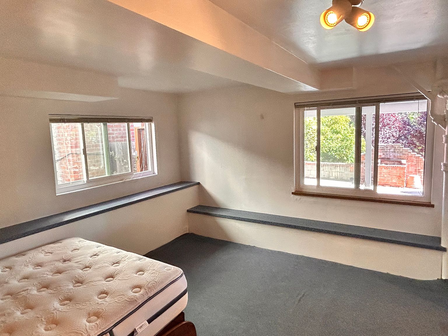 1BR/1BA Other on Sycamore St · San Carlos photo 4