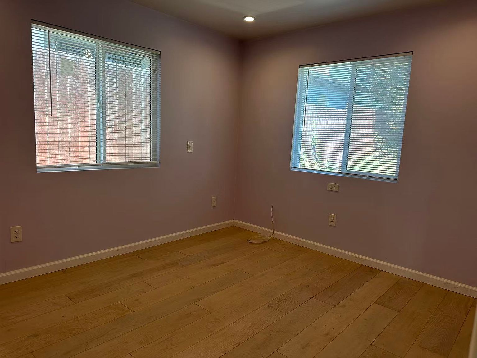 3552 Meadow St photo 4