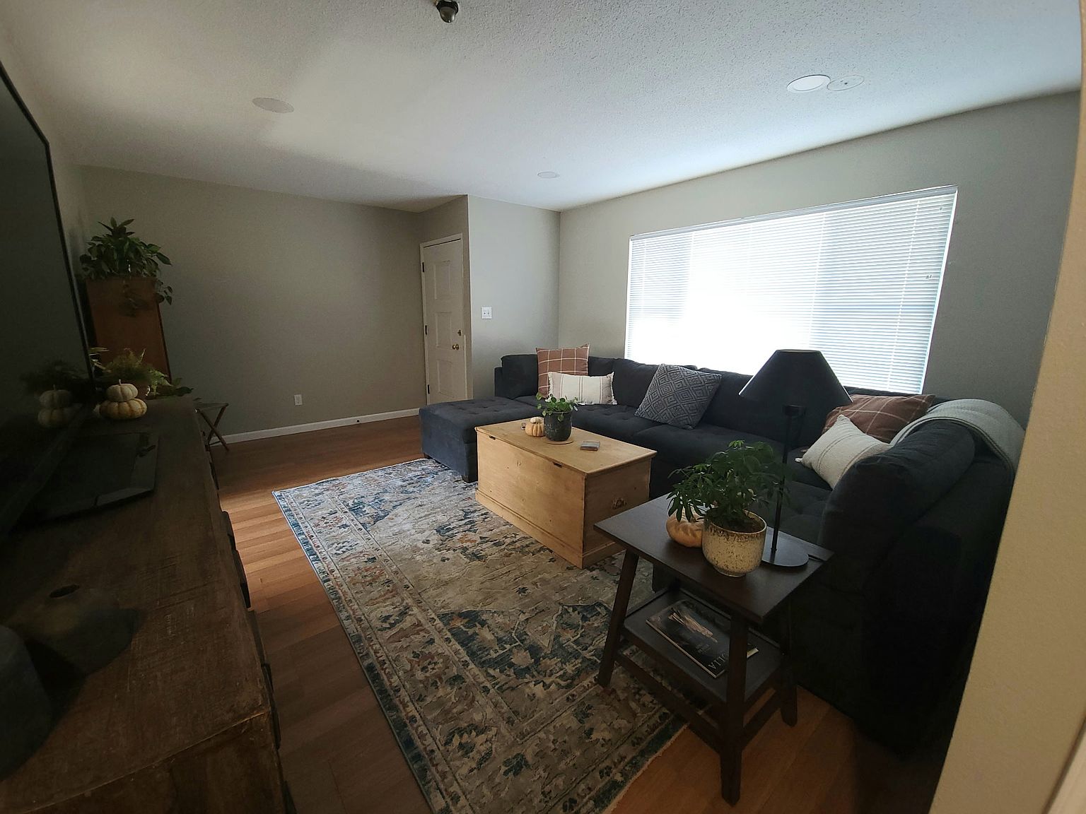 2BR/1BA Single Family House on Vallejo St · Petaluma photo 5