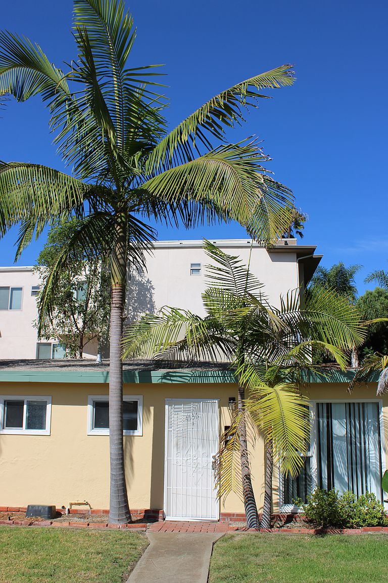 4536 photo 3