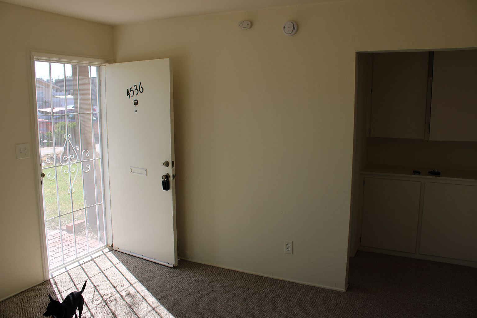 4536 photo 4