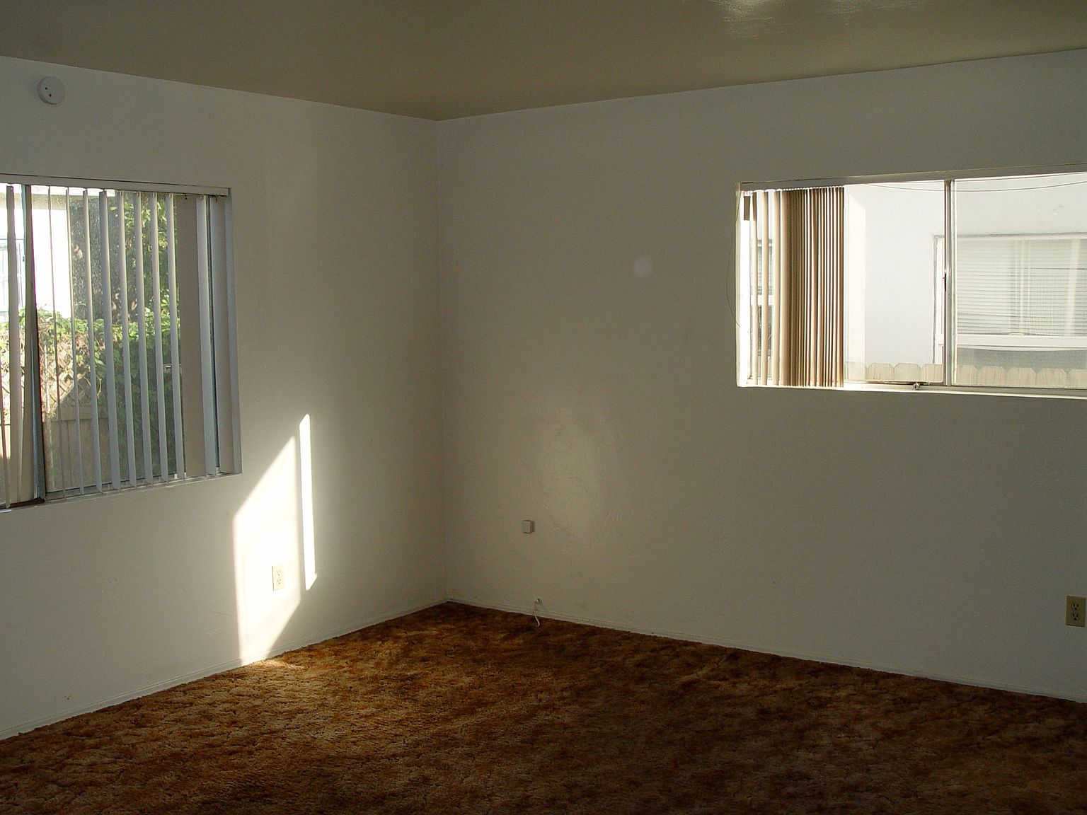 4806 Santa Cruz Ave photo 4