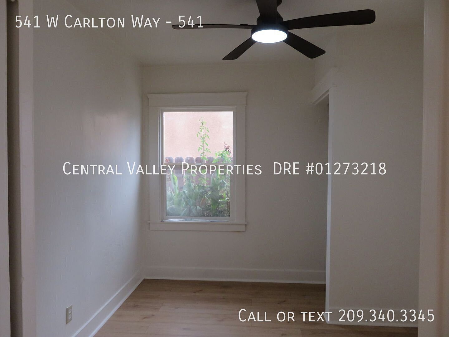 541 W Carlton Way photo 4