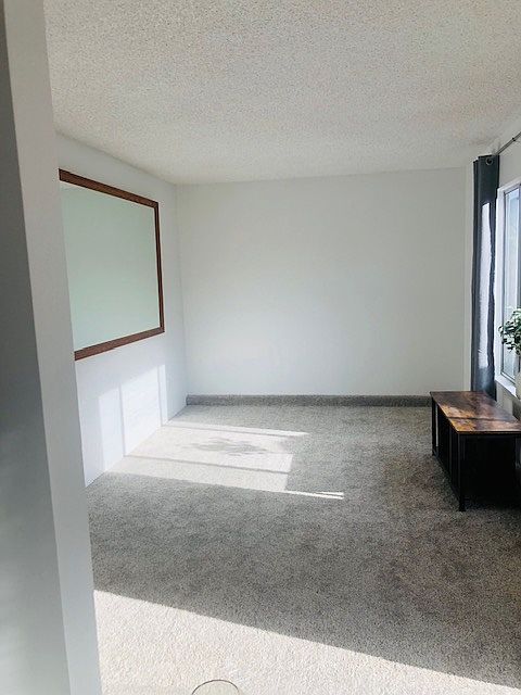 772 Ash Ave photo 4
