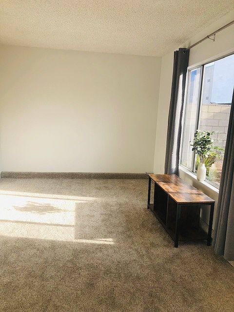 772 Ash Ave photo 5