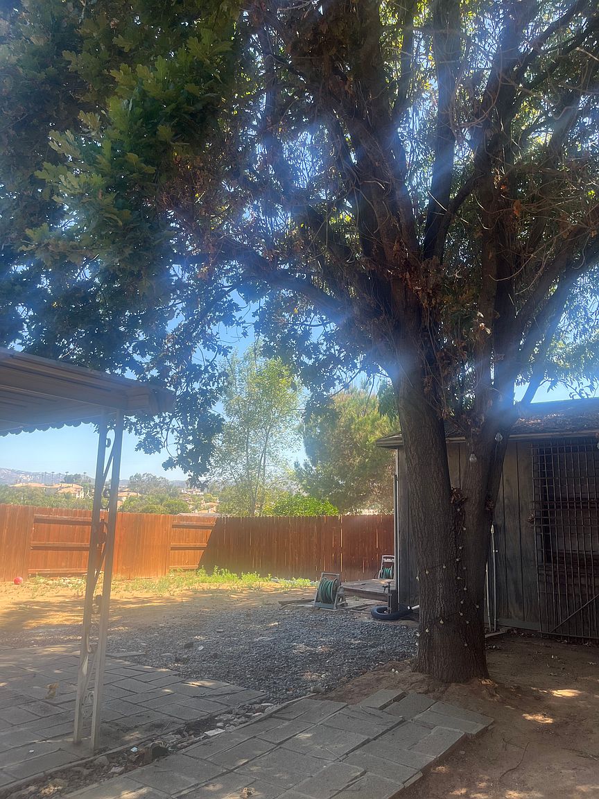 826 Birch Ave photo 5