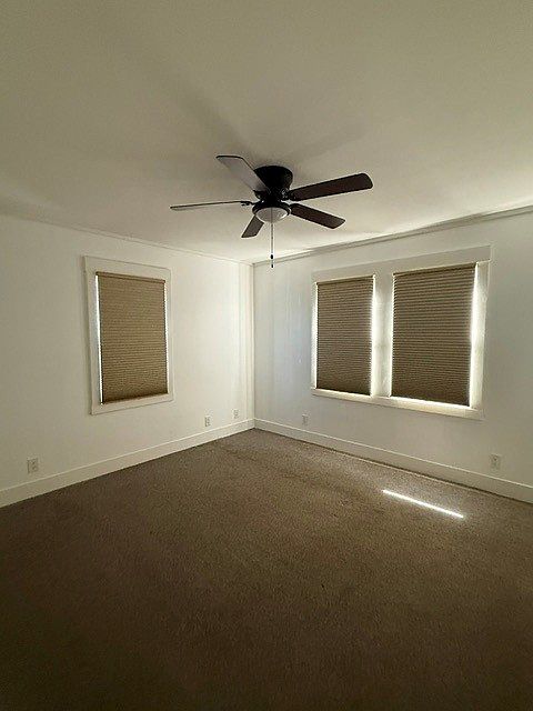 589 Soscol Ave photo 3