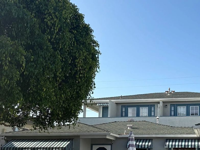 244 Date Ave photo 2