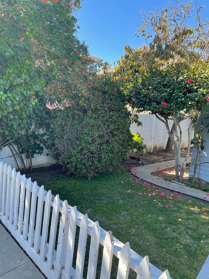 515 N Clementine St photo 3