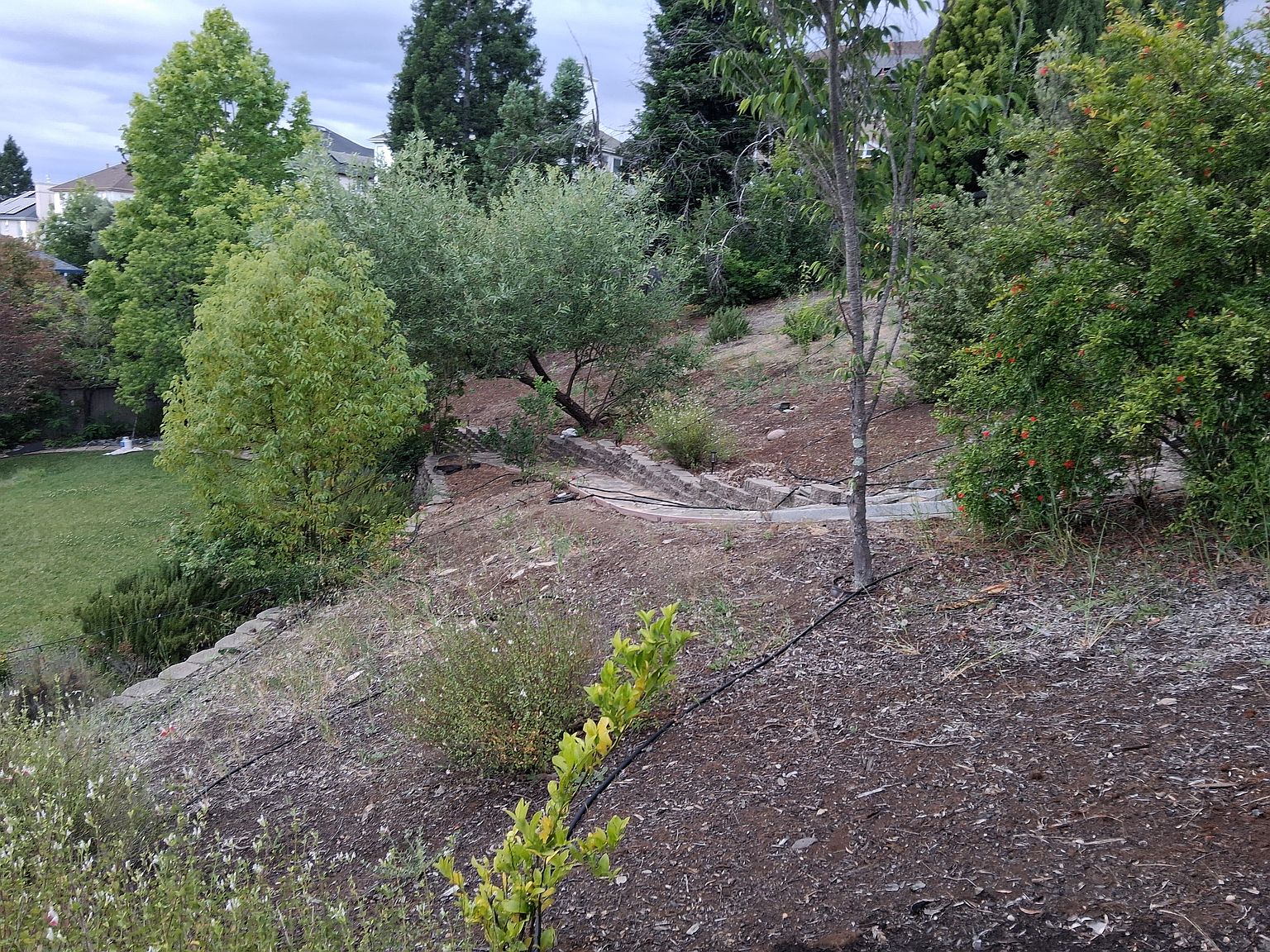 1457 Nighthawk Pl photo 3